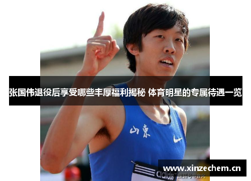 张国伟退役后享受哪些丰厚福利揭秘 体育明星的专属待遇一览 张国伟退役后享受哪些丰厚福利揭秘 体育明星的专属待遇一览