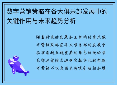 数字营销策略在各大俱乐部发展中的关键作用与未来趋势分析