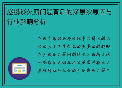 赵鹏谈欠薪问题背后的深层次原因与行业影响分析